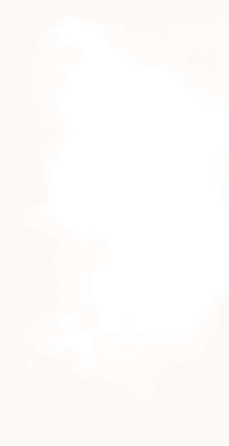 house-of-crocodiles
